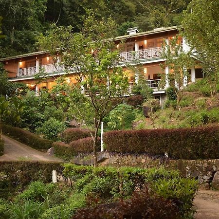 Forest Edge Hotel Ginigathena ภายนอก รูปภาพ