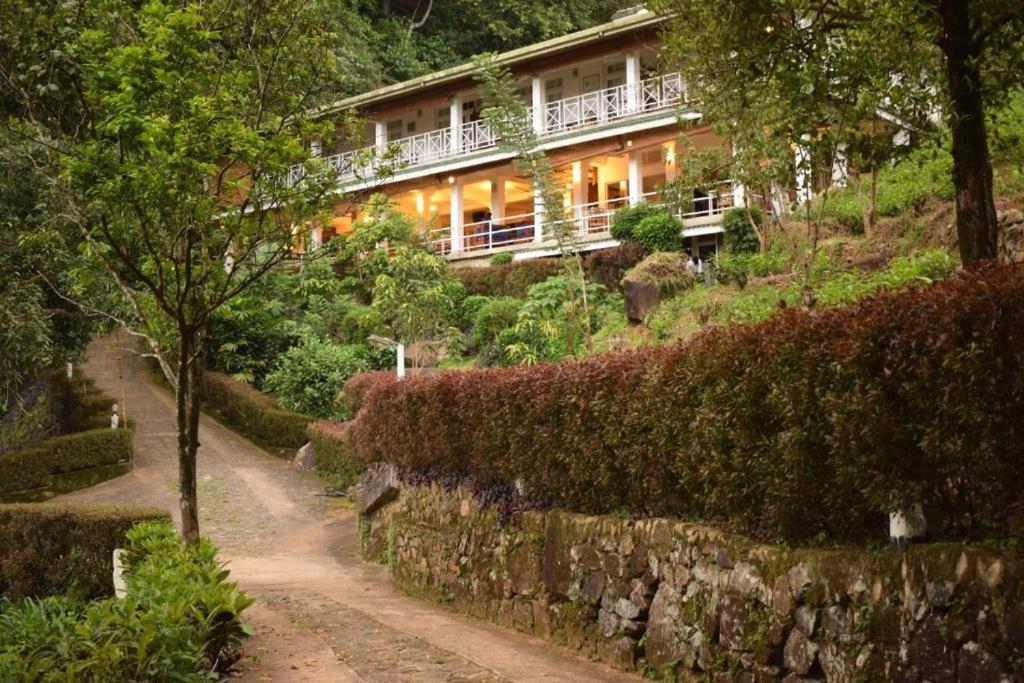 Forest Edge Hotel Ginigathena ภายนอก รูปภาพ