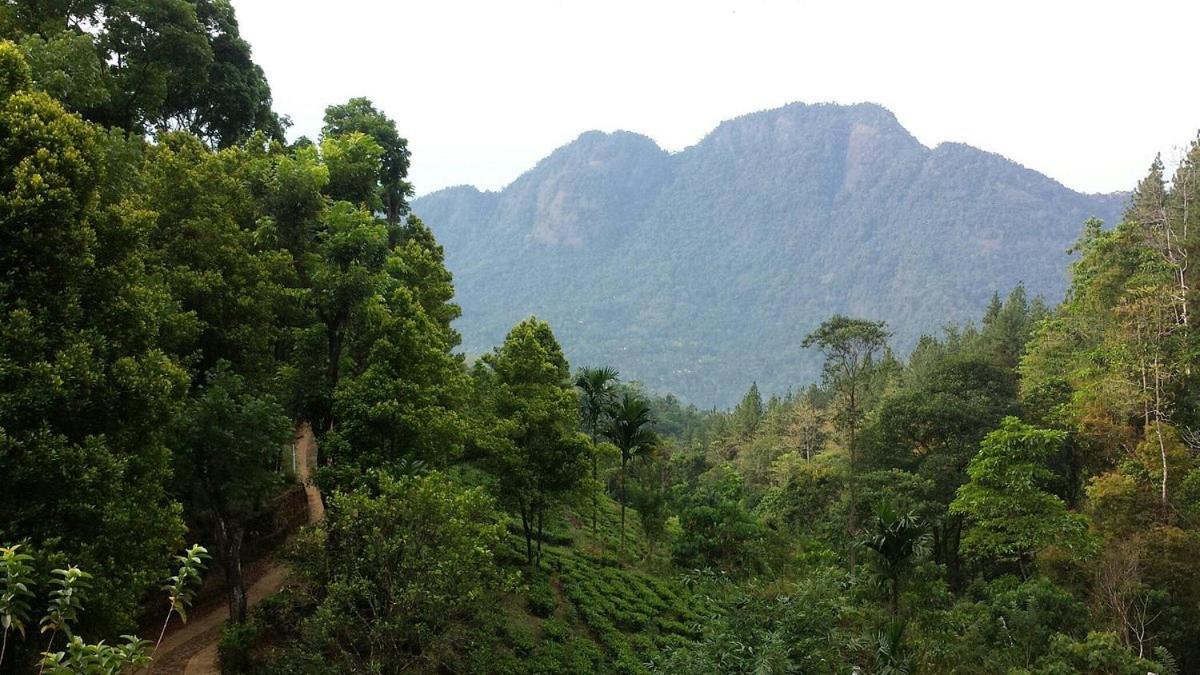 Forest Edge Hotel Ginigathena ภายนอก รูปภาพ