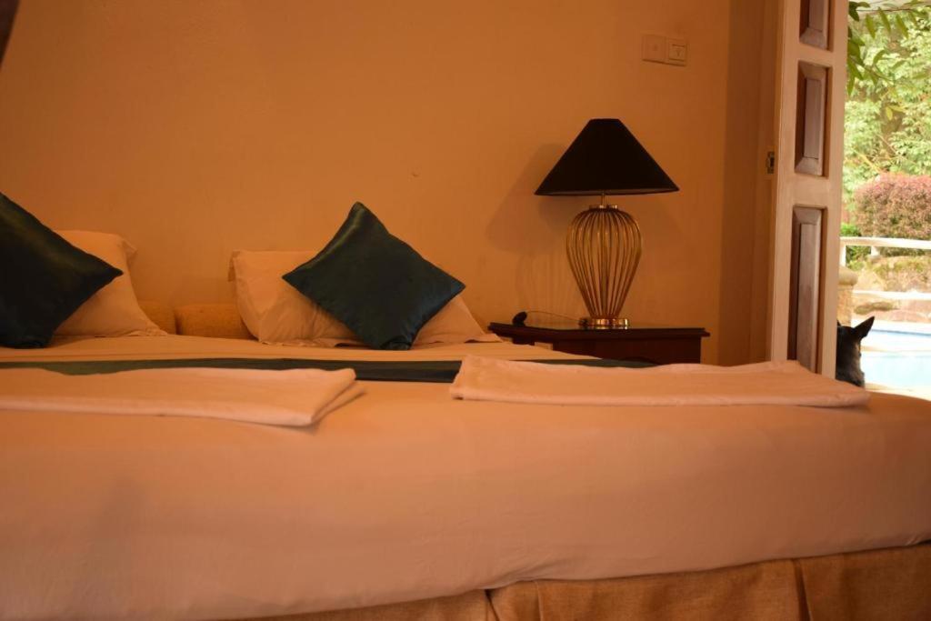 Forest Edge Hotel Ginigathena ภายนอก รูปภาพ