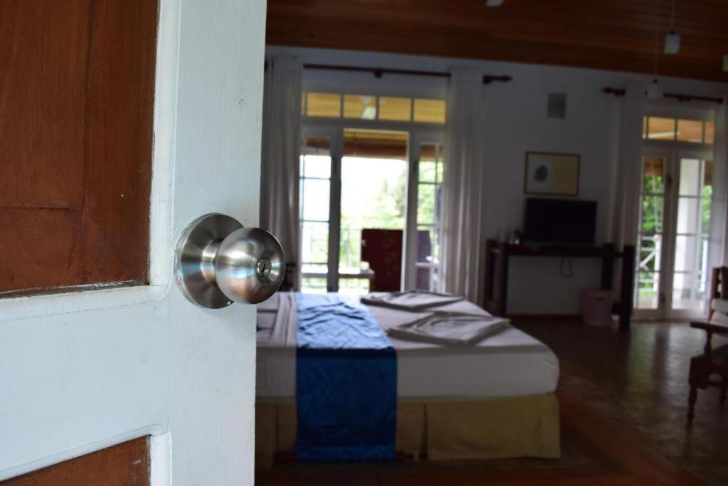 Forest Edge Hotel Ginigathena ภายนอก รูปภาพ